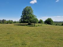 Działka inwestycyjna Malesowizna