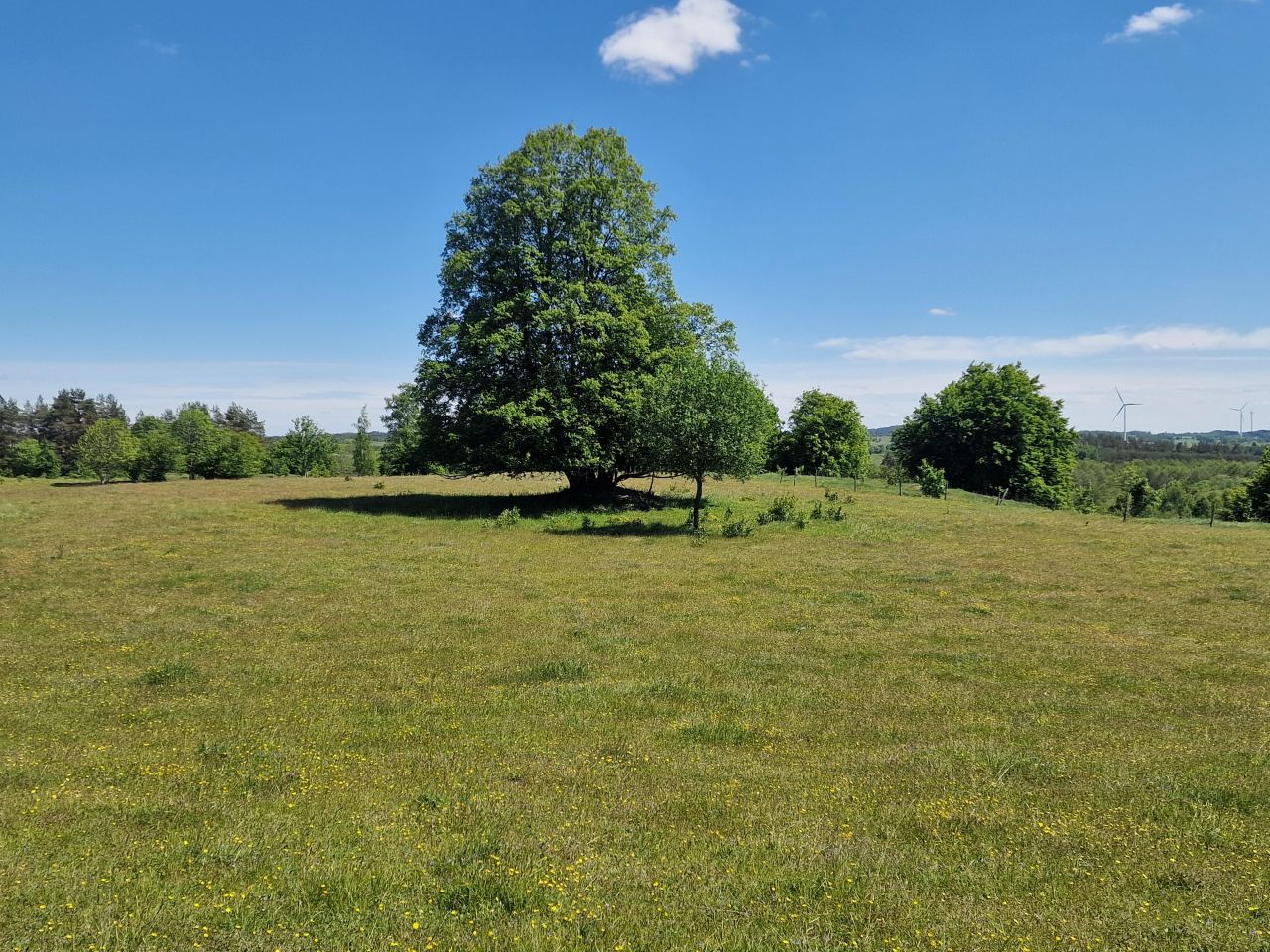 Działka inwestycyjna Malesowizna