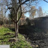 Działka budowlana Radzyń Podlaski, ul. Wincentego Witosa. Zdjęcie 1