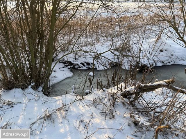 Działka rekreacyjna Dębówiec. Zdjęcie 1