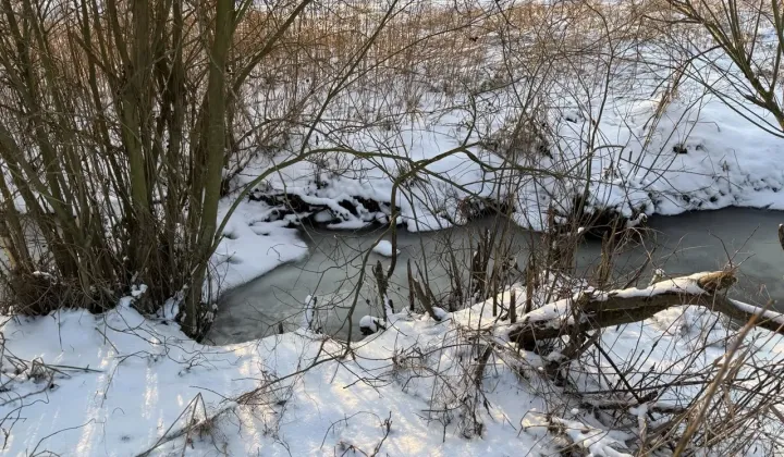 Działka rekreacyjna Dębówiec