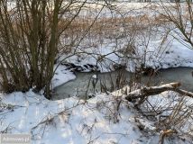 Działka rekreacyjna Dębówiec