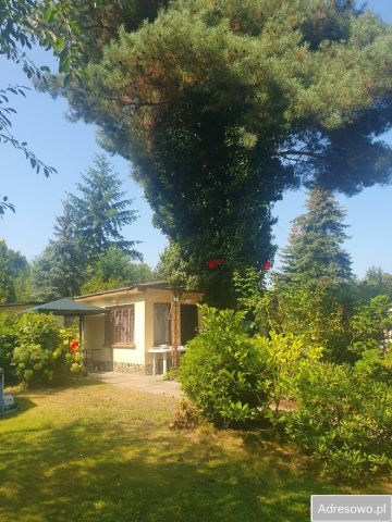 Działka rod Poznań, ul. Pusta. Zdjęcie 1