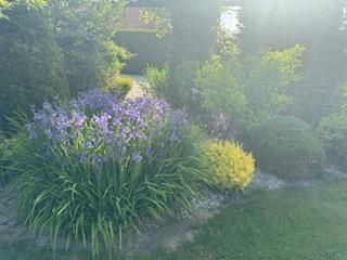 dom wolnostojący, 4 pokoje Bielsko-Biała Lipnik, Władysława Kiernika. Zdjęcie 230