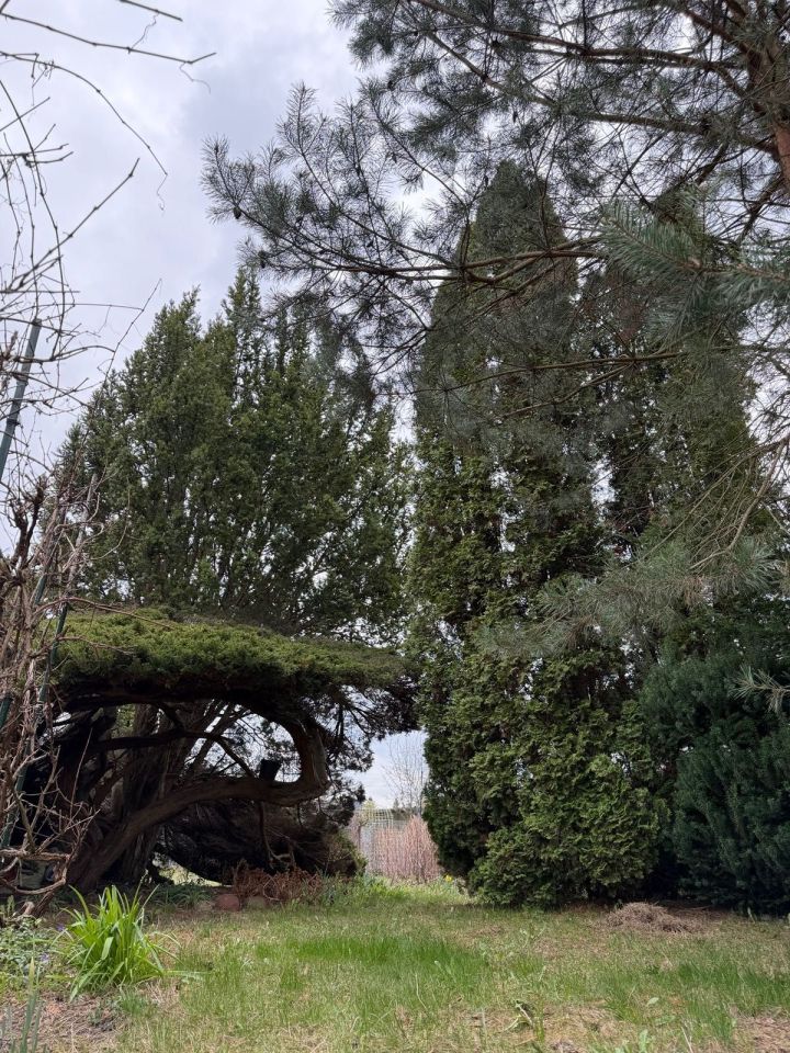 Działka rod Warszawa Ochota. Zdjęcie 5