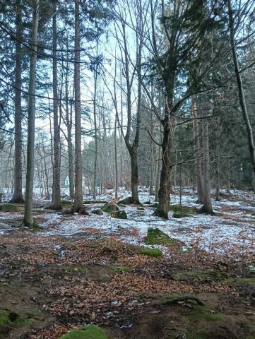 Działka budowlana Szklarska Poręba, ul. 1 Maja. Zdjęcie 1