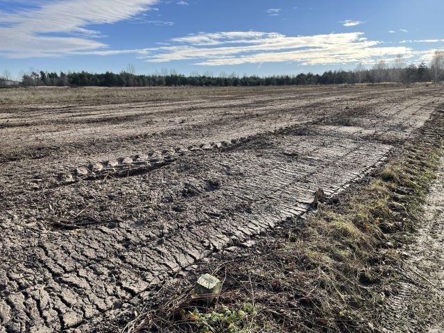 Działka budowlana Jastrząb, ul. Konopnickiej. Zdjęcie 8