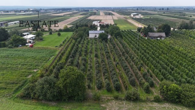 Działka rolna Świdno. Zdjęcie 3