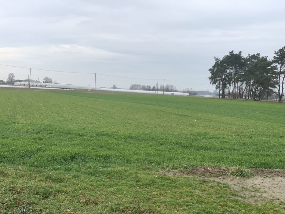 Działka rolno-budowlana Karnkowo. Zdjęcie 3