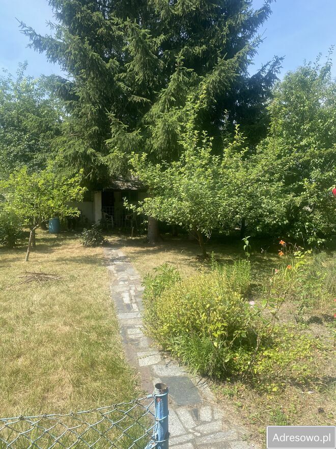 Działka rod Świdnica. Zdjęcie 4