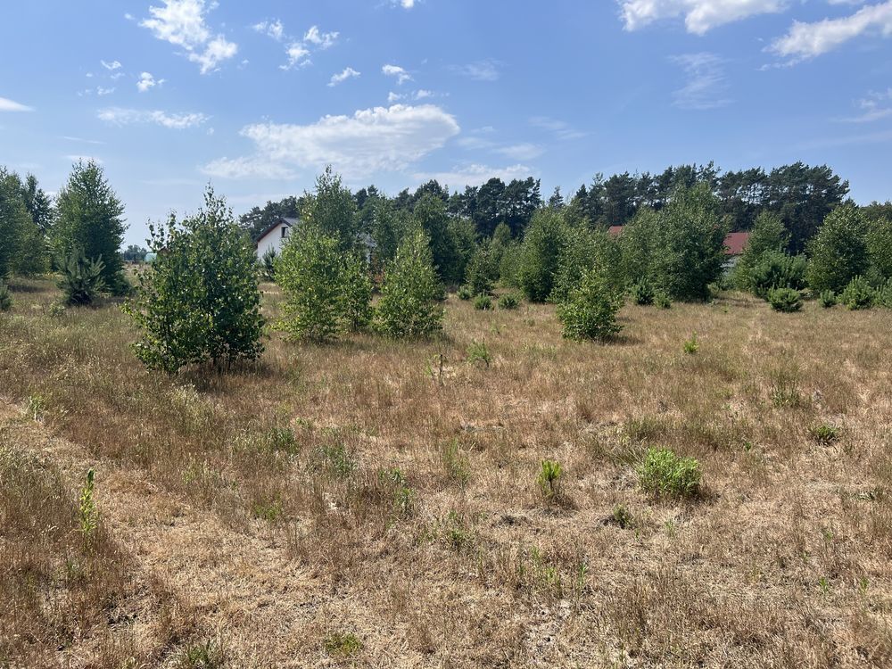 Działka budowlana Malanów. Zdjęcie 6