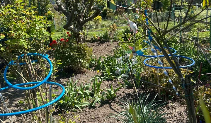 Działka rod Koszalin Centrum, ul. Mieszka I