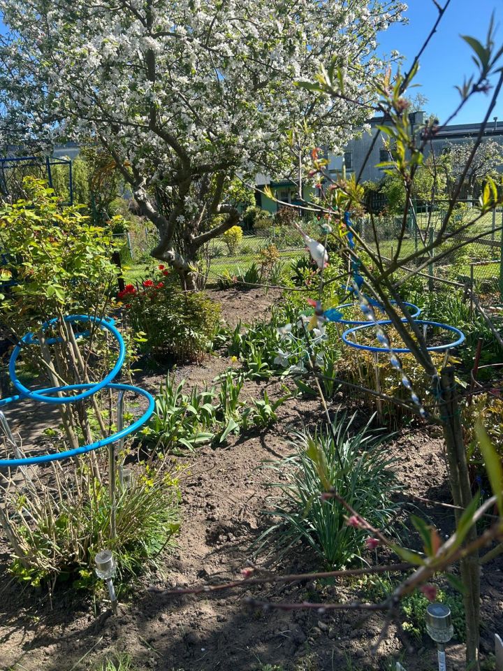 Działka rod Koszalin Centrum, ul. Mieszka I