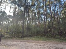 Działka Żarki-Letnisko, ul. Wiejska. Zdjęcie 2