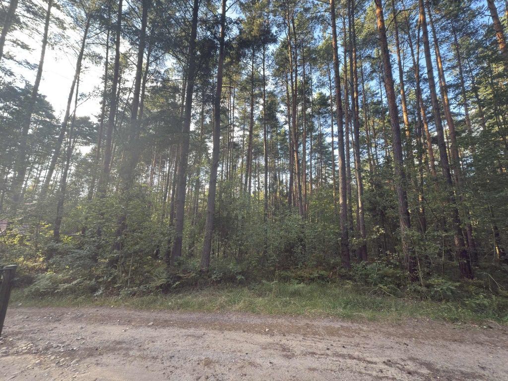 Działka Żarki-Letnisko, ul. Wiejska. Zdjęcie 3