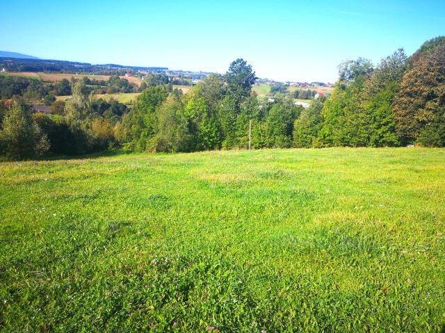 Działka budowlana Turza. Zdjęcie 1