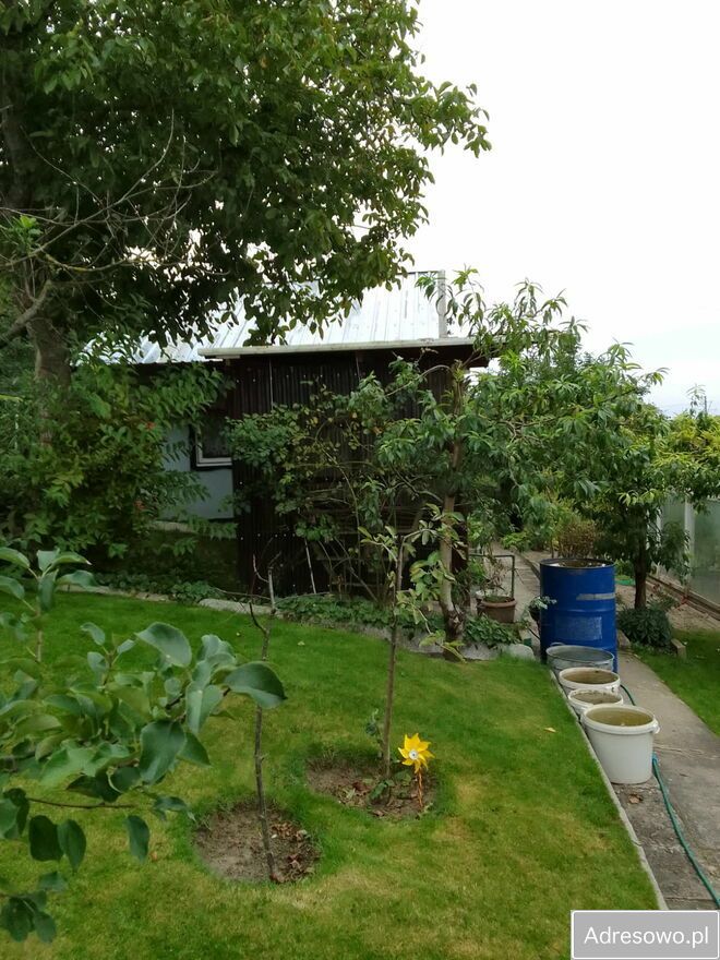 Działka rod Iława. Zdjęcie 2