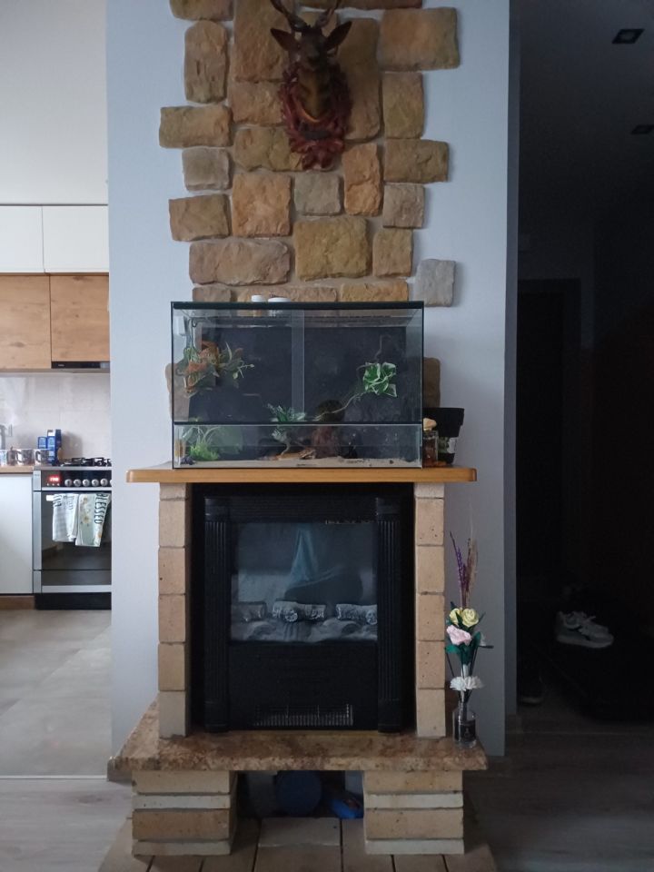 Mieszkanie 3-pokojowe Smardzewice, al. inż. Bohdana Łozińskiego. Zdjęcie 3