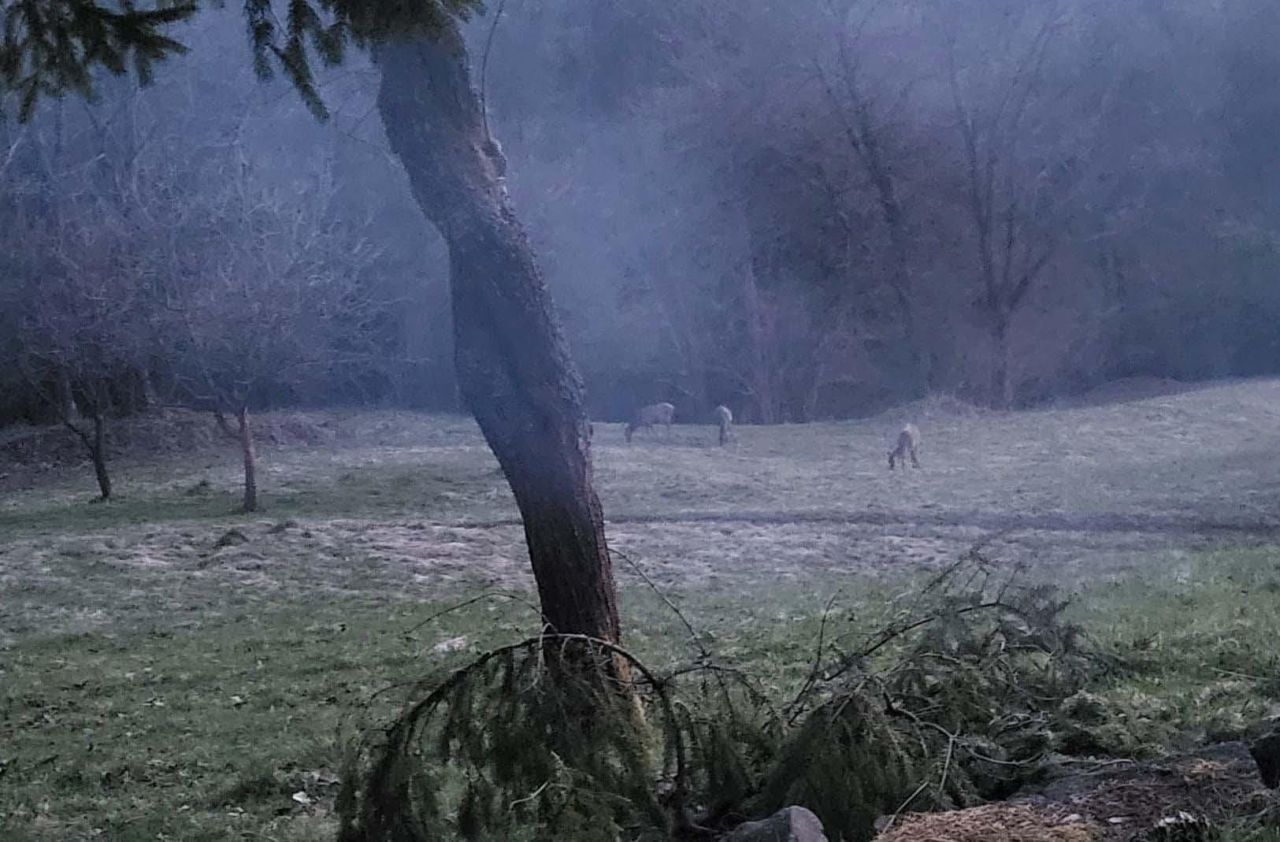 dom wolnostojący Rycerka Dolna Głębokie. Zdjęcie 7