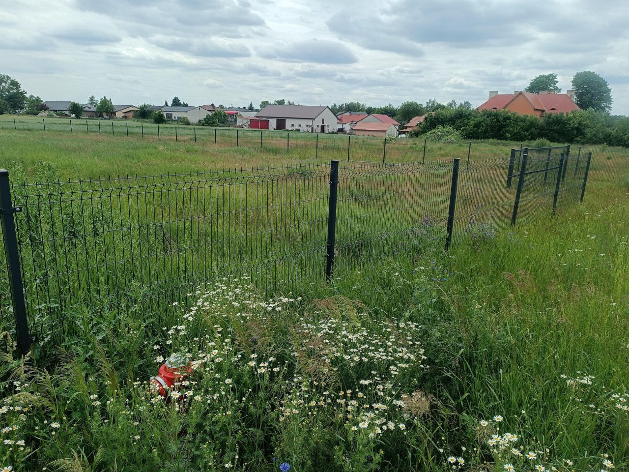 Działka inna Krężna kolonia. Zdjęcie 13