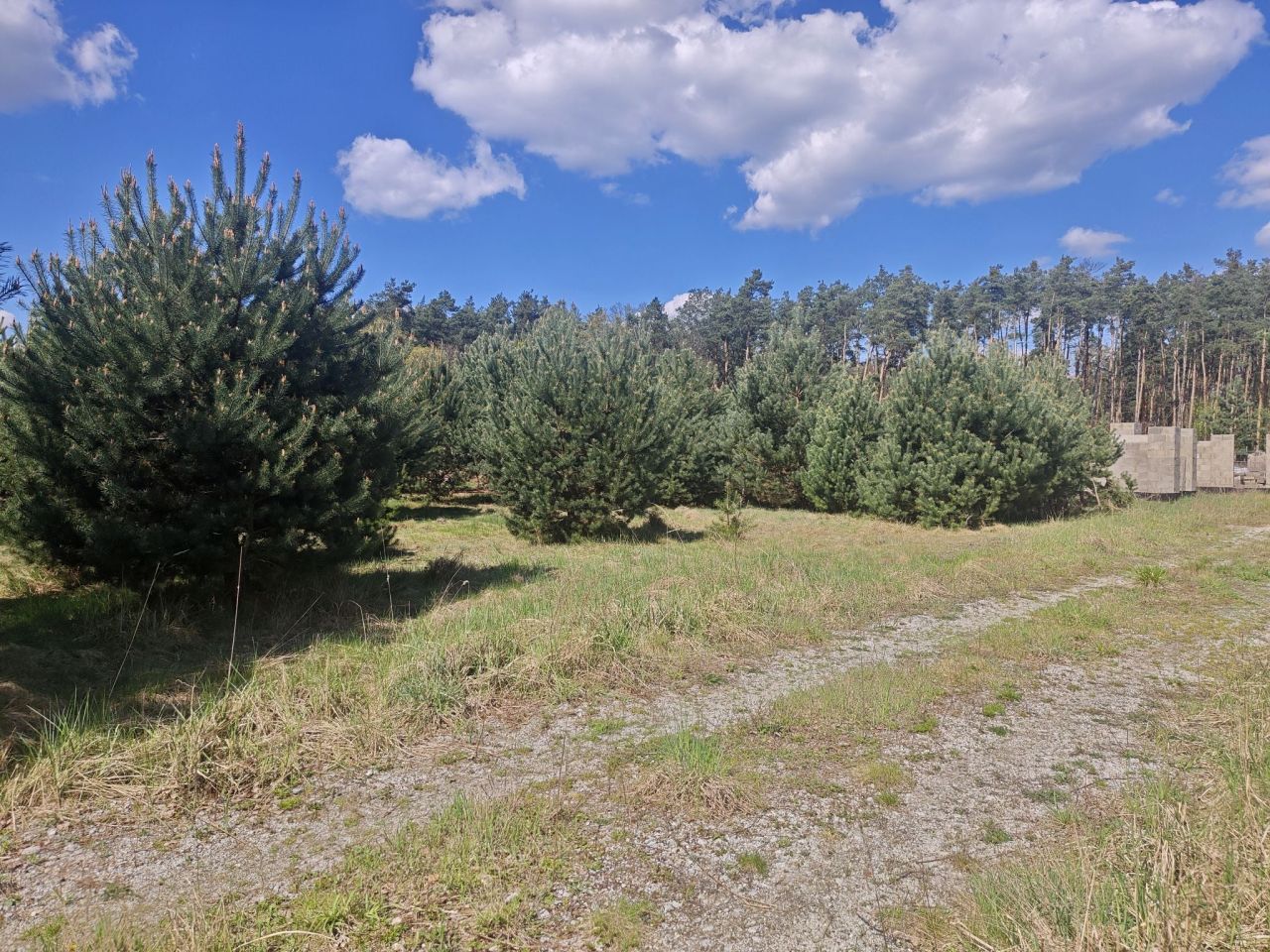 Działka budowlana Tarnowa Łąka, ul. Tartaczna. Zdjęcie 3