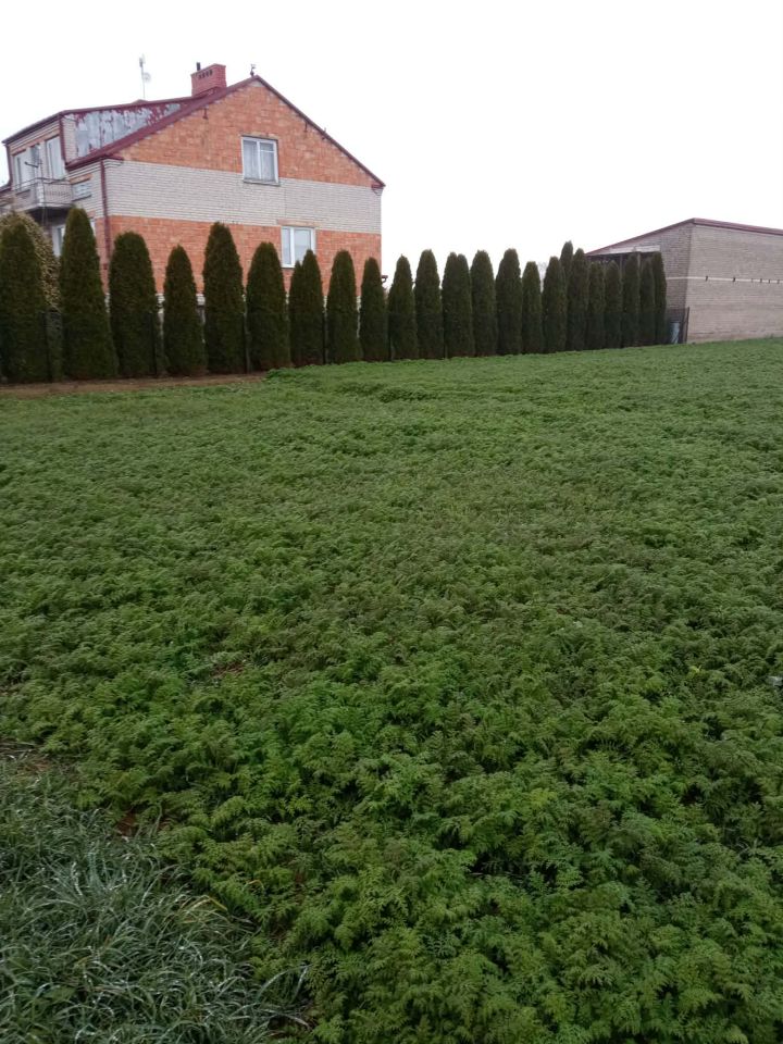 Działka rolno-budowlana Obrębiec. Zdjęcie 3