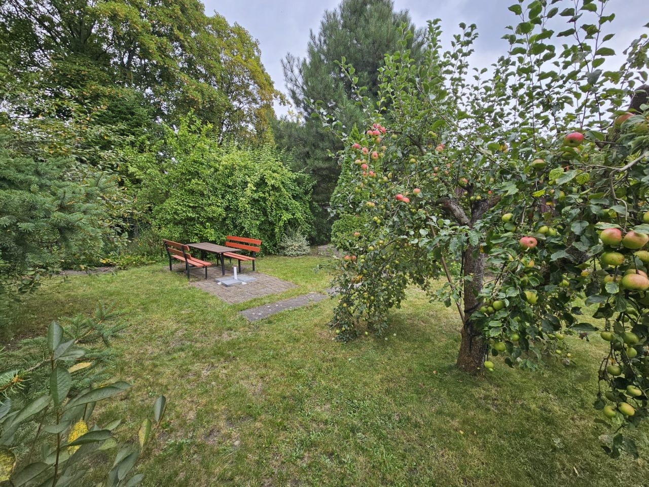 Działka rod Wrocław Gajowice, ul. Stalowa. Zdjęcie 2