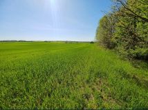 Działka budowlana Osiek Drawski. Zdjęcie 3