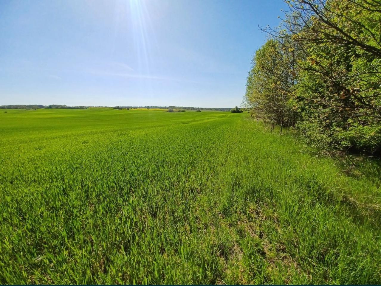 Działka budowlana Osiek Drawski. Zdjęcie 4