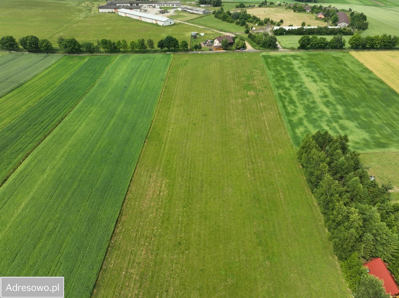 Nieruchomość komercyjna Sułoszowa. Zdjęcie 12