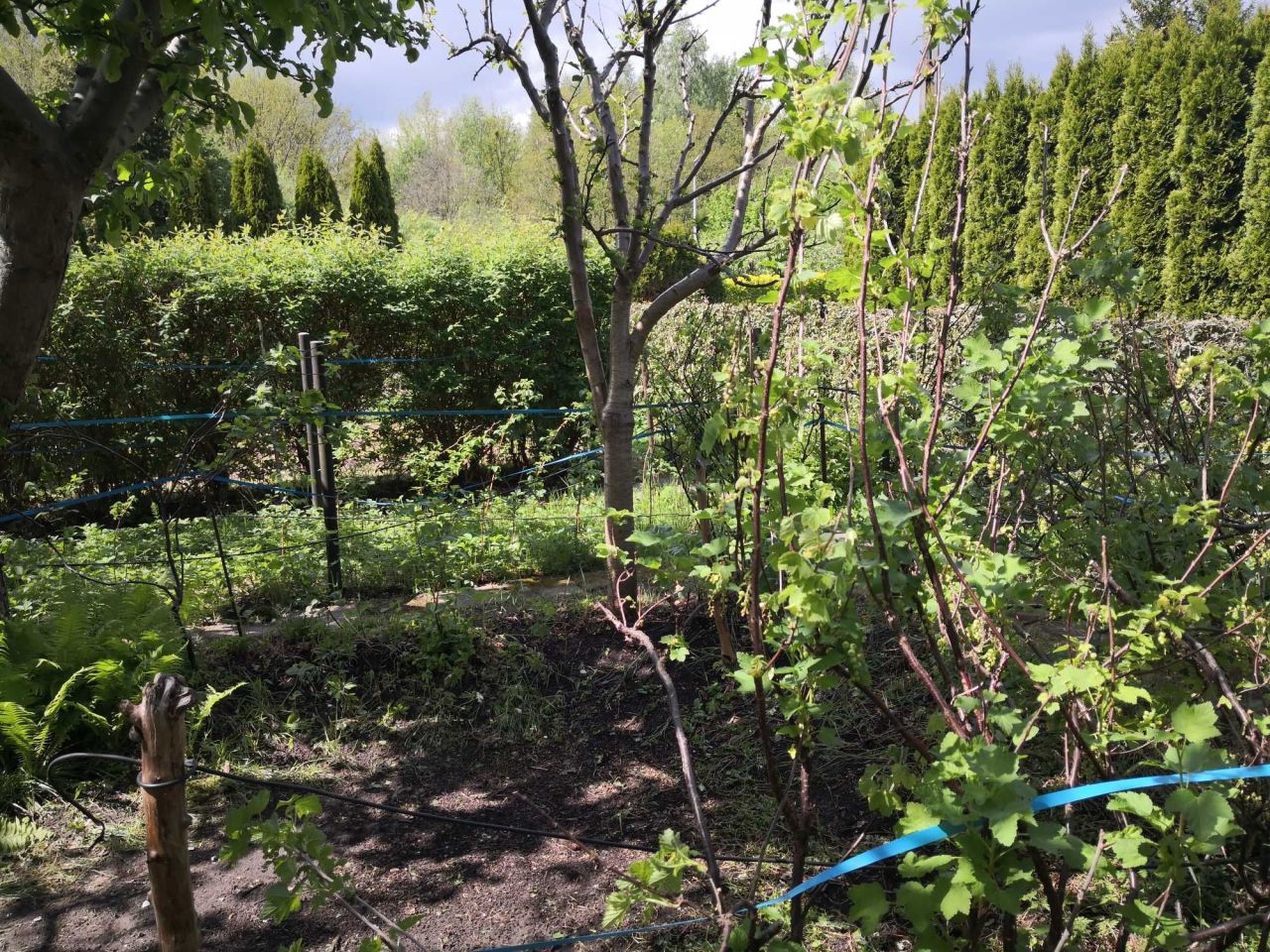 Działka rod Łódź Radogoszcz, ul. Kazimiery i Jana Marczyńskich. Zdjęcie 6