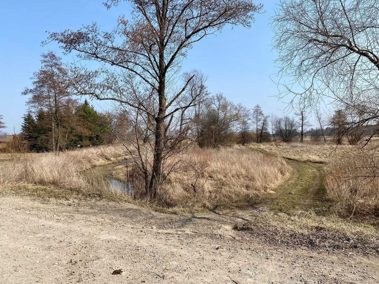 Działka rolna Duchnów