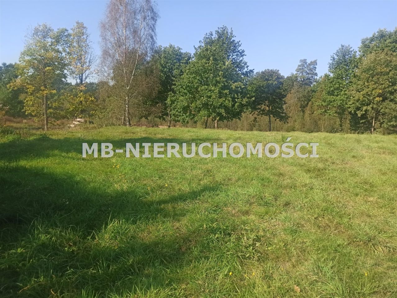 Działka rolna Ługwałd. Zdjęcie 1