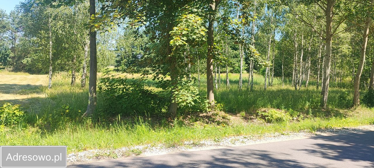 Działka budowlana Gołąbek, ul. Osiedlowa. Zdjęcie 8