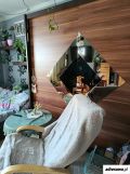 dom wolnostojący, 7 pokoi Kończyce Małe, ul. Zagrodowa. Zdjęcie 1