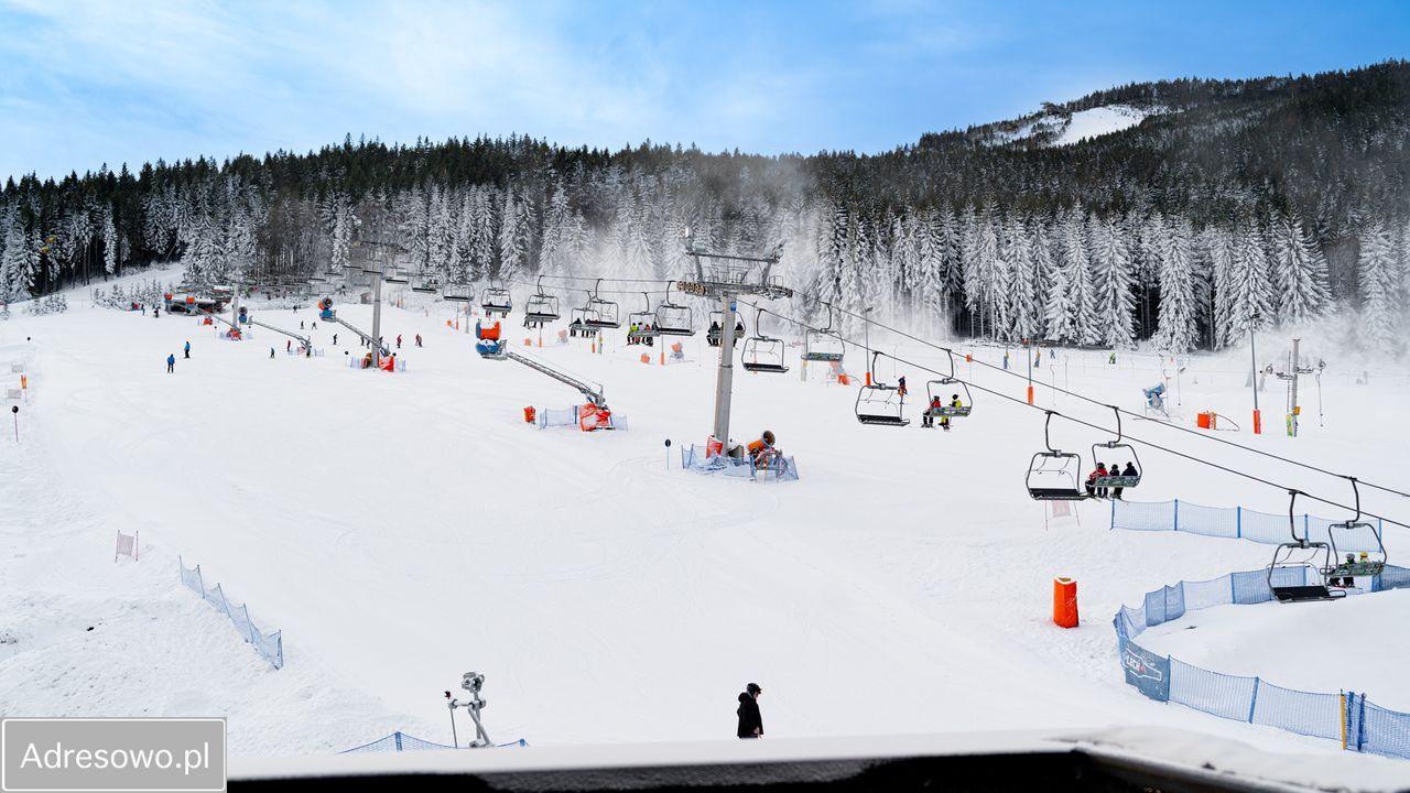 Mieszkanie 2-pokojowe Sienna. Zdjęcie 6