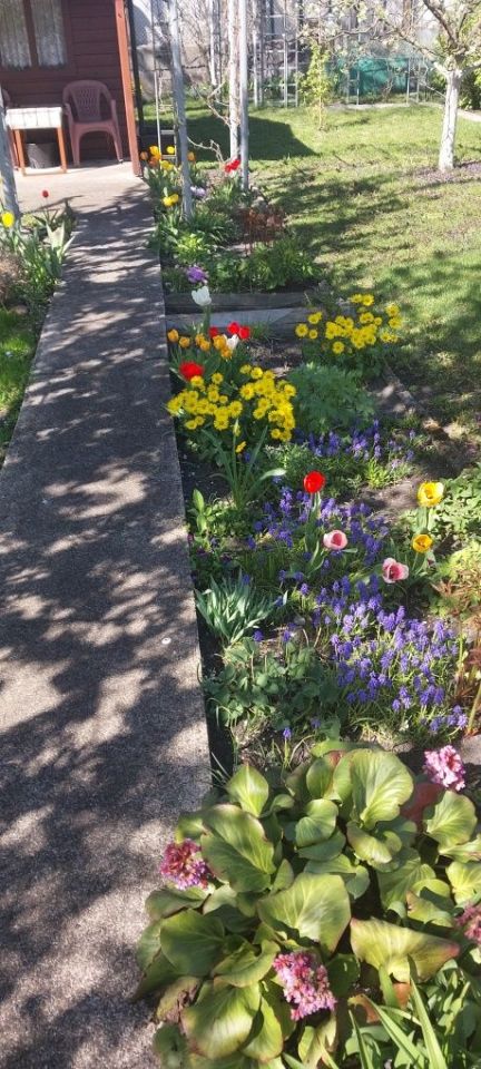 Działka rod Toruń, ul. Grudziądzka. Zdjęcie 6