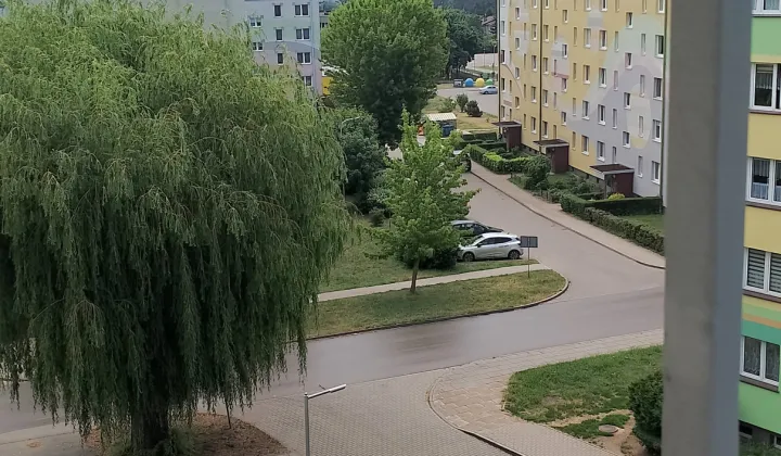 Mieszkanie 2-pokojowe Kutno Centrum, Grunwaldzka