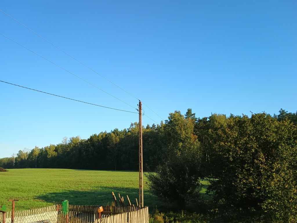 Działka rolno-budowlana Franciszkowo. Zdjęcie 8