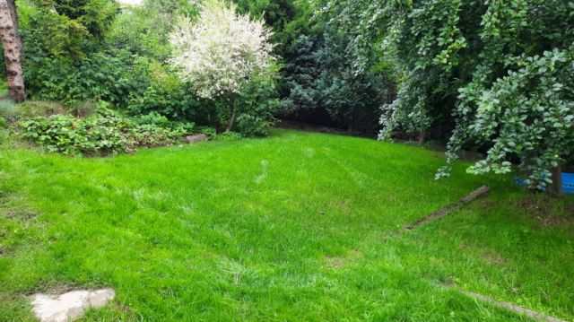 Działka rod Gdańsk Jasień. Zdjęcie 1