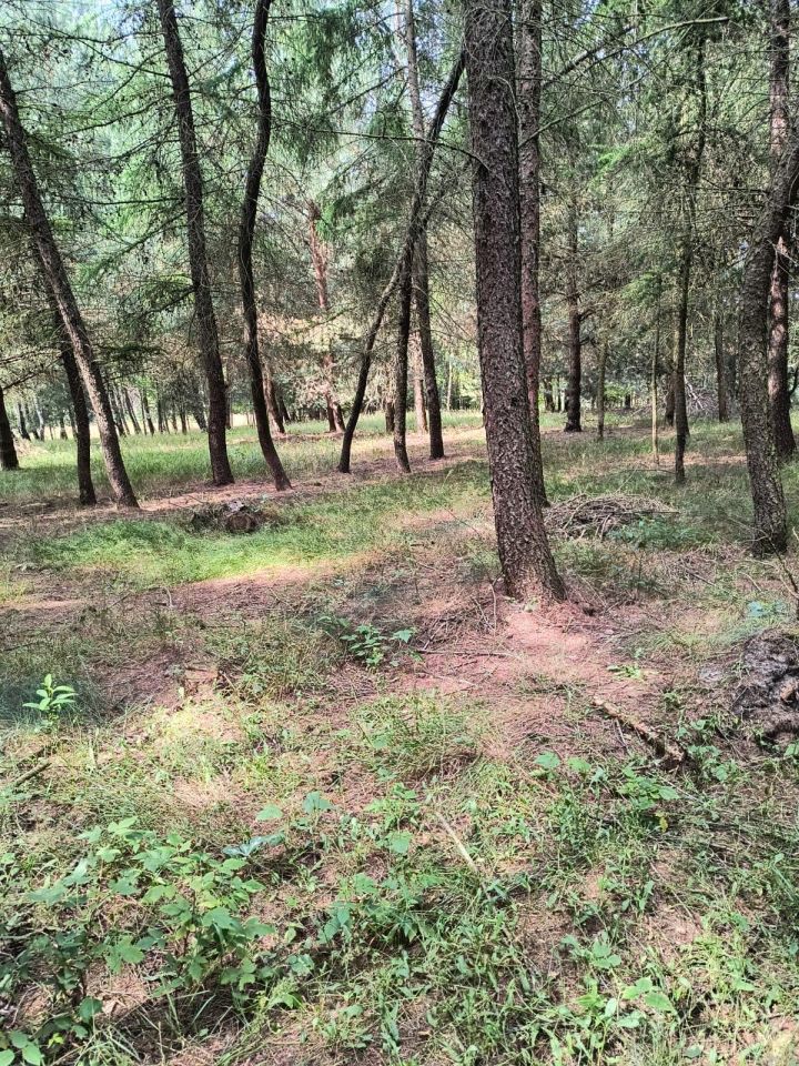 Działka rolna Dobrogoszczyce. Zdjęcie 11