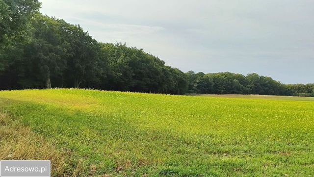 Działka inwestycyjna Kielno, ul. Jeziorna. Zdjęcie 1