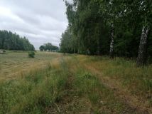 Działka rekreacyjna Szymonka. Zdjęcie 3