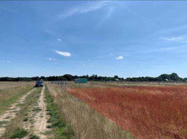 Działka rekreacyjna Kosewo, ul. Lipnicka. Zdjęcie 1