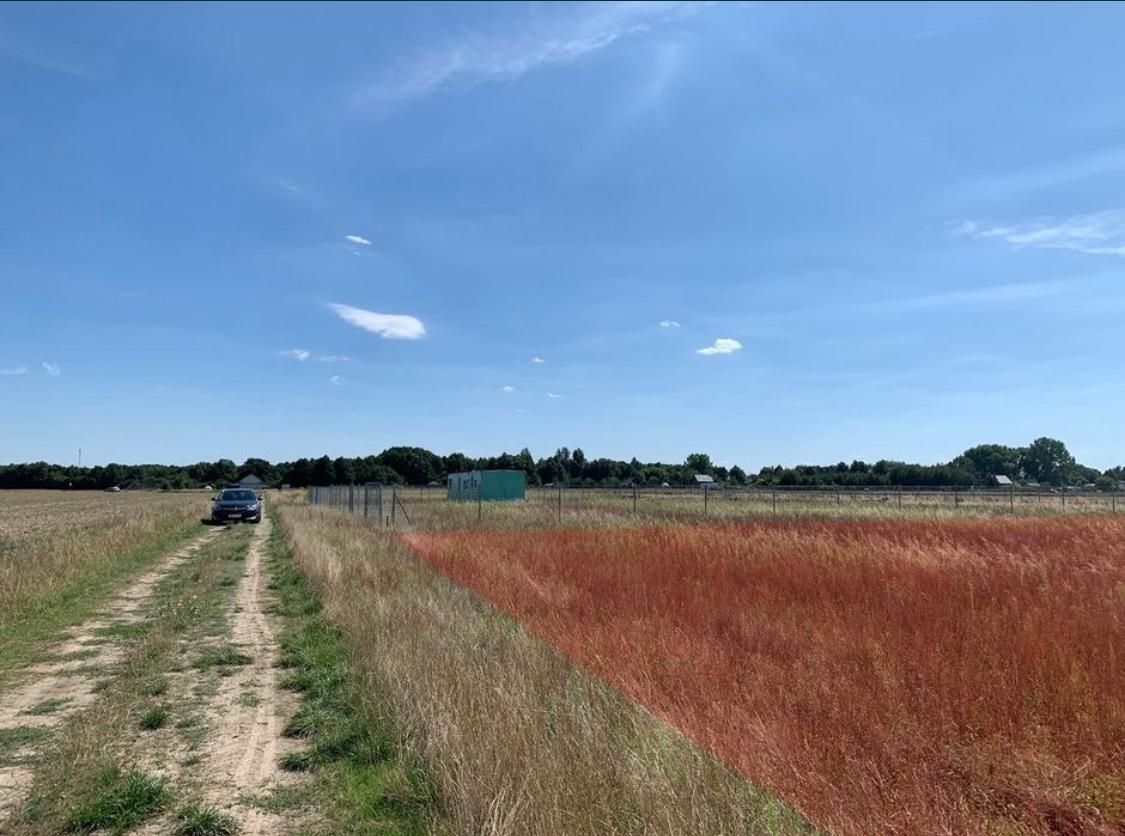 Działka rekreacyjna Kosewo, ul. Lipnicka