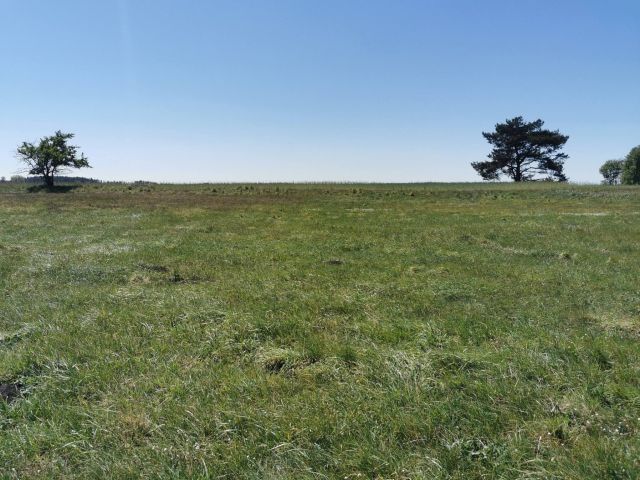 Działka rolna Święta. Zdjęcie 10