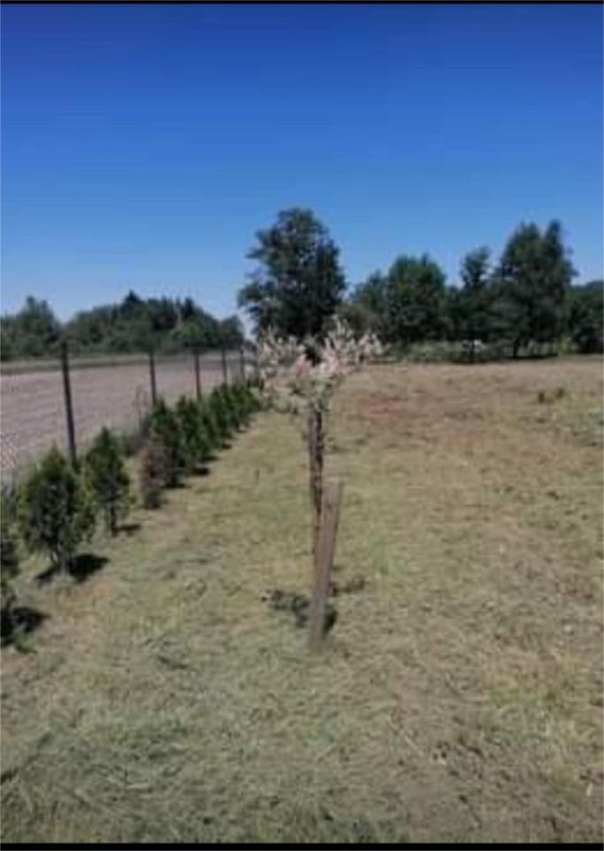 Działka budowlana Lasowice. Zdjęcie 5