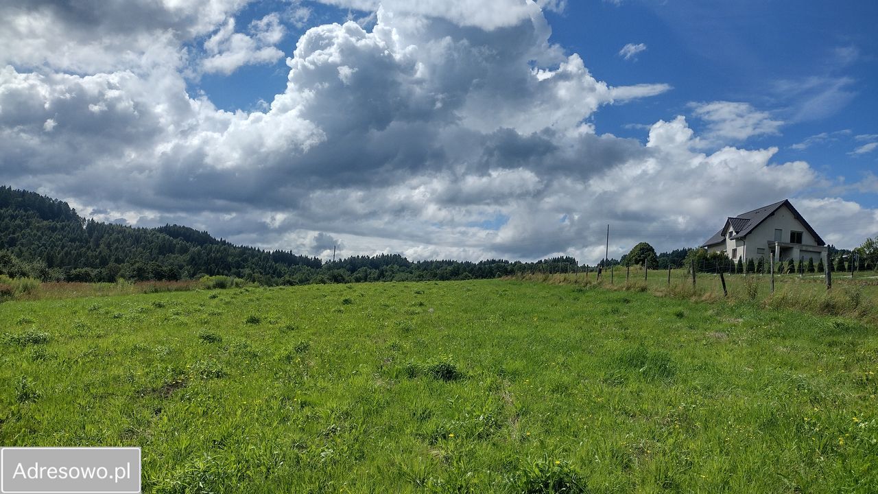 Działka rolno-budowlana Zachełmna. Zdjęcie 5