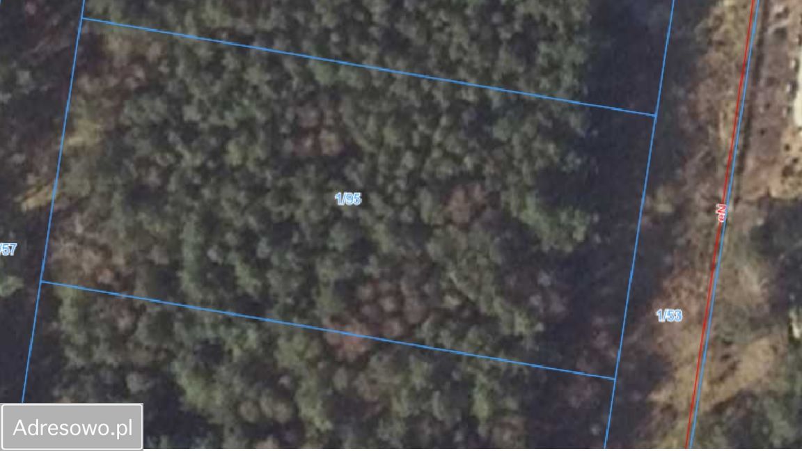 Działka budowlana Karczewko, ul. Bukowa. Zdjęcie 4