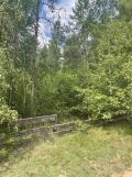 Działka rekreacyjna Faryny, ul. Dębowa. Zdjęcie 3